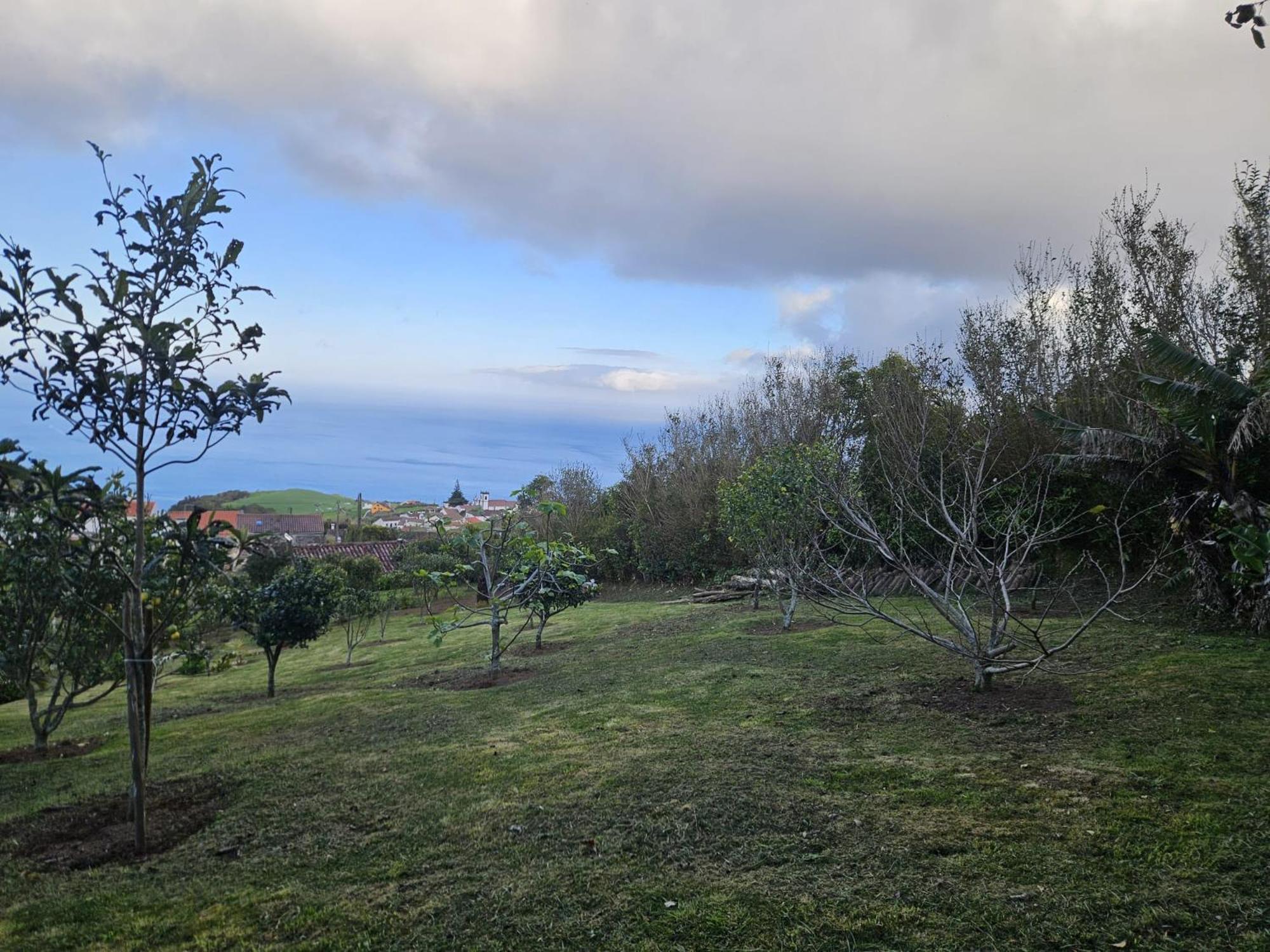 Casa Do Castanheiro - Nordeste, Acores Нордешти Экстерьер фото